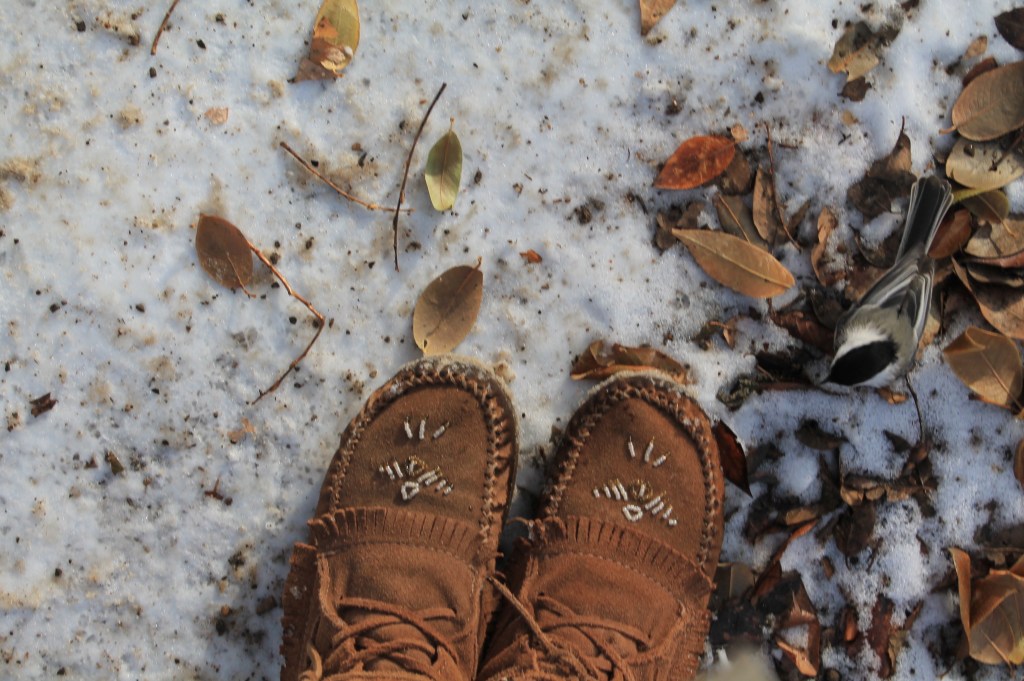 Diving for Lilies: A Personal Account of Tracey Lindberg’s “Birdie”