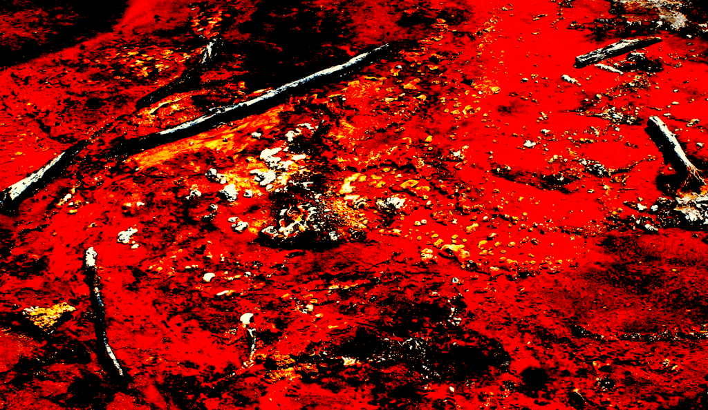 Devil’s Fingers