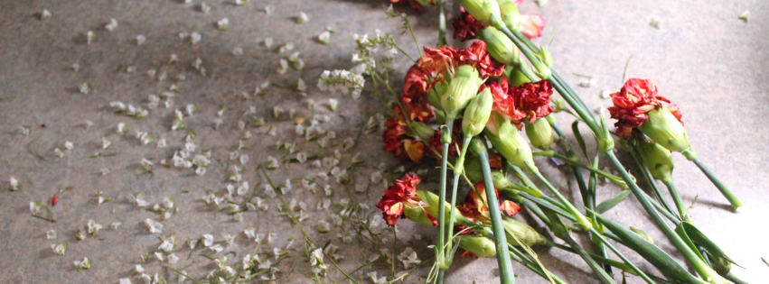 flowers and stems on a table top close up