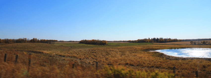 prairie and blue sky