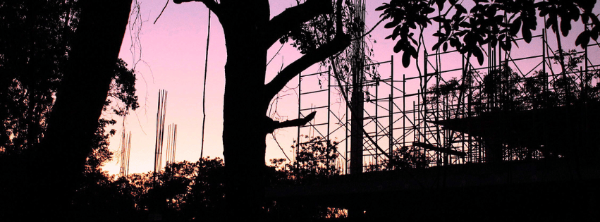 sunrise trees and construction